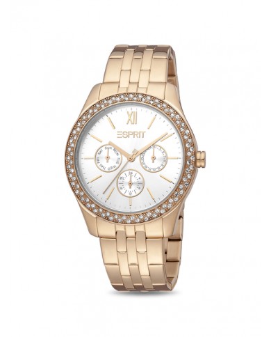 Montre Femme Esprit ES1L201M1035