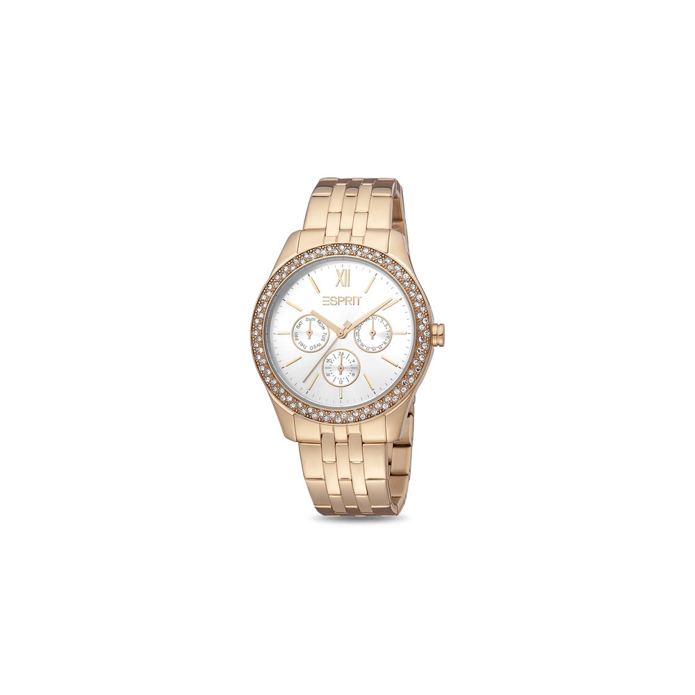 Montre Femme Esprit ES1L201M1035