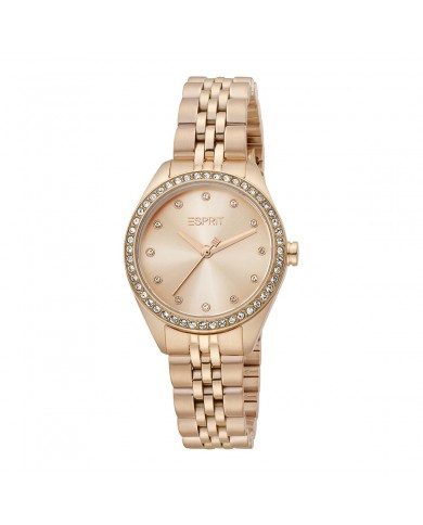 Montre Femme Esprit ES1L279M0075