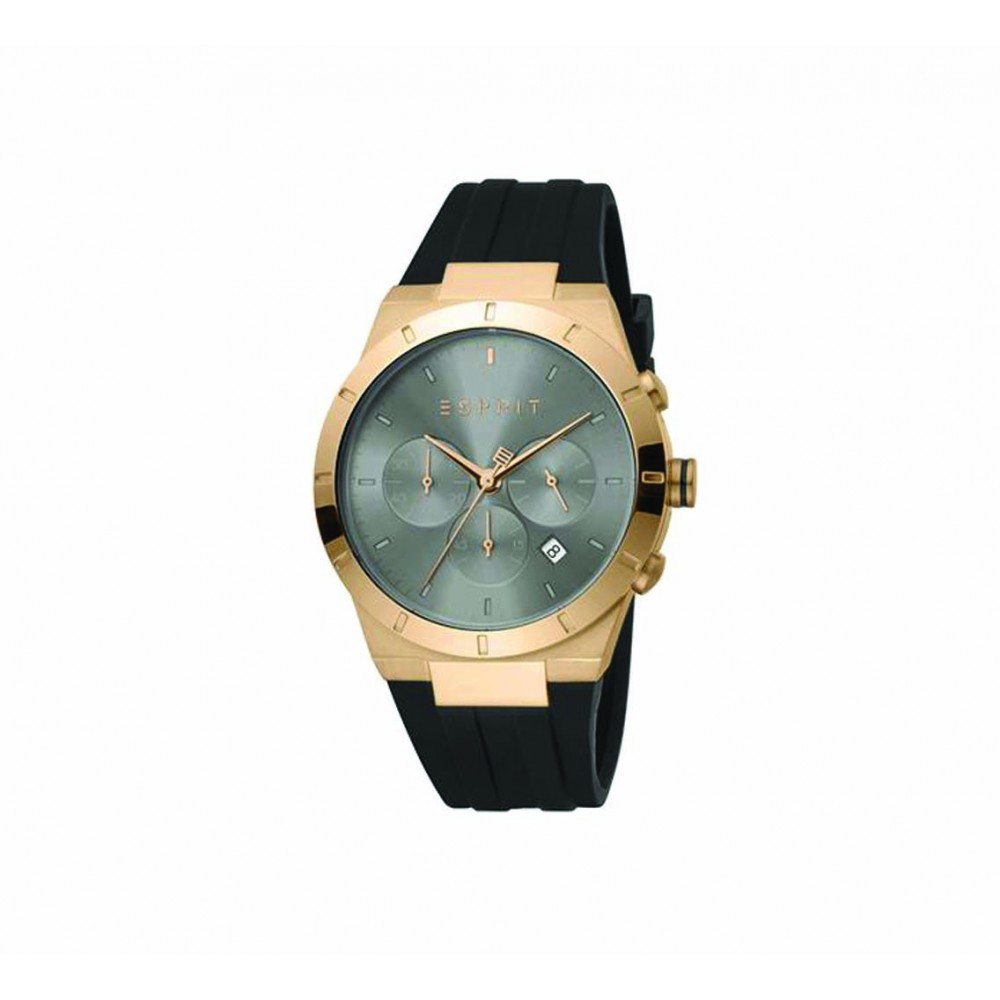 Montre Homme Esprit ES1G205P0045