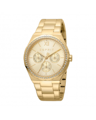 Montre Femme Esprit ES1L164M0055