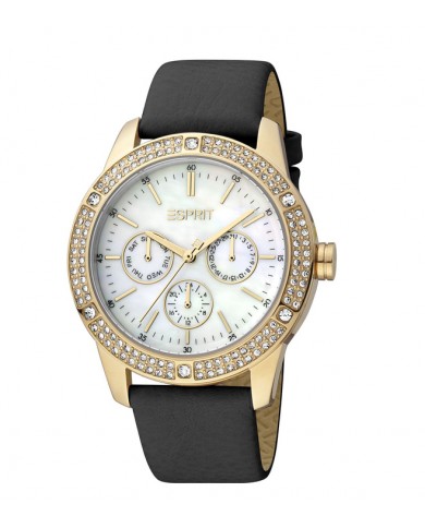 Montre Esprit Femmre ES1L338L0025