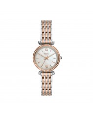 Montre Femme Esprit ES1L286M0055