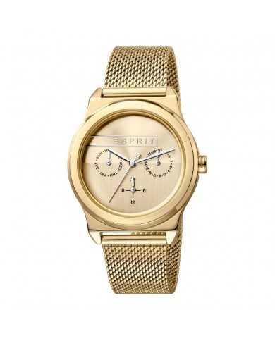 Montre Femme Esprit ES1L077M0055