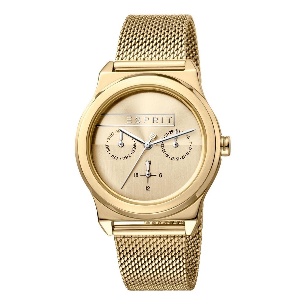 Montre Femme Esprit ES1L077M0055