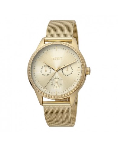 Montre Femme Esprit ES1L220M0025