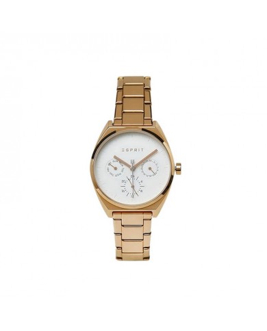Montre Femme Esprit ES1L060M0075
