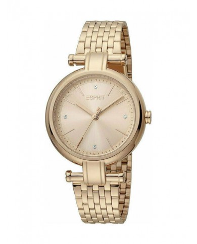 Montre Femme Esprit ES1L268M0065