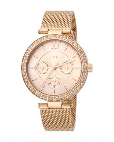Montre Femme Esprit ES1L189m0095