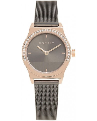 Montre Femme Esprit ES1L091M0075