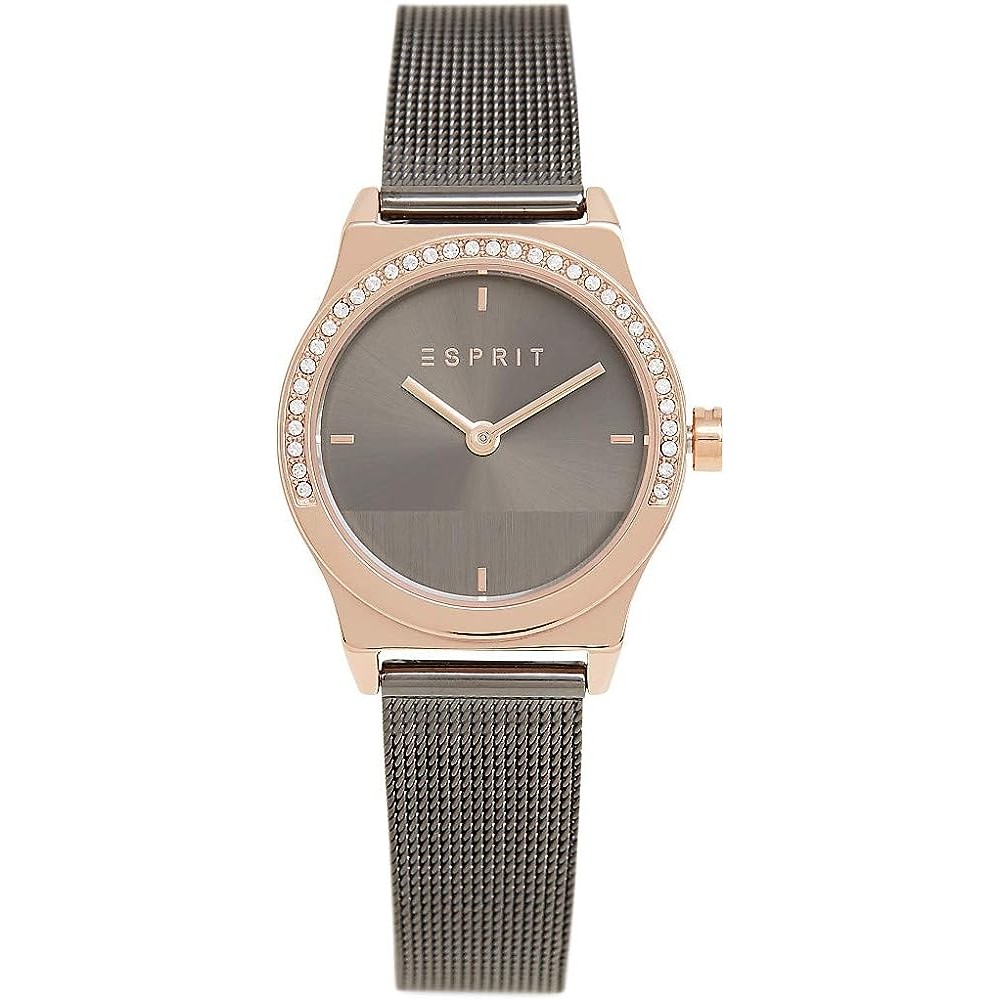 Montre Femme Esprit ES1L091M0075