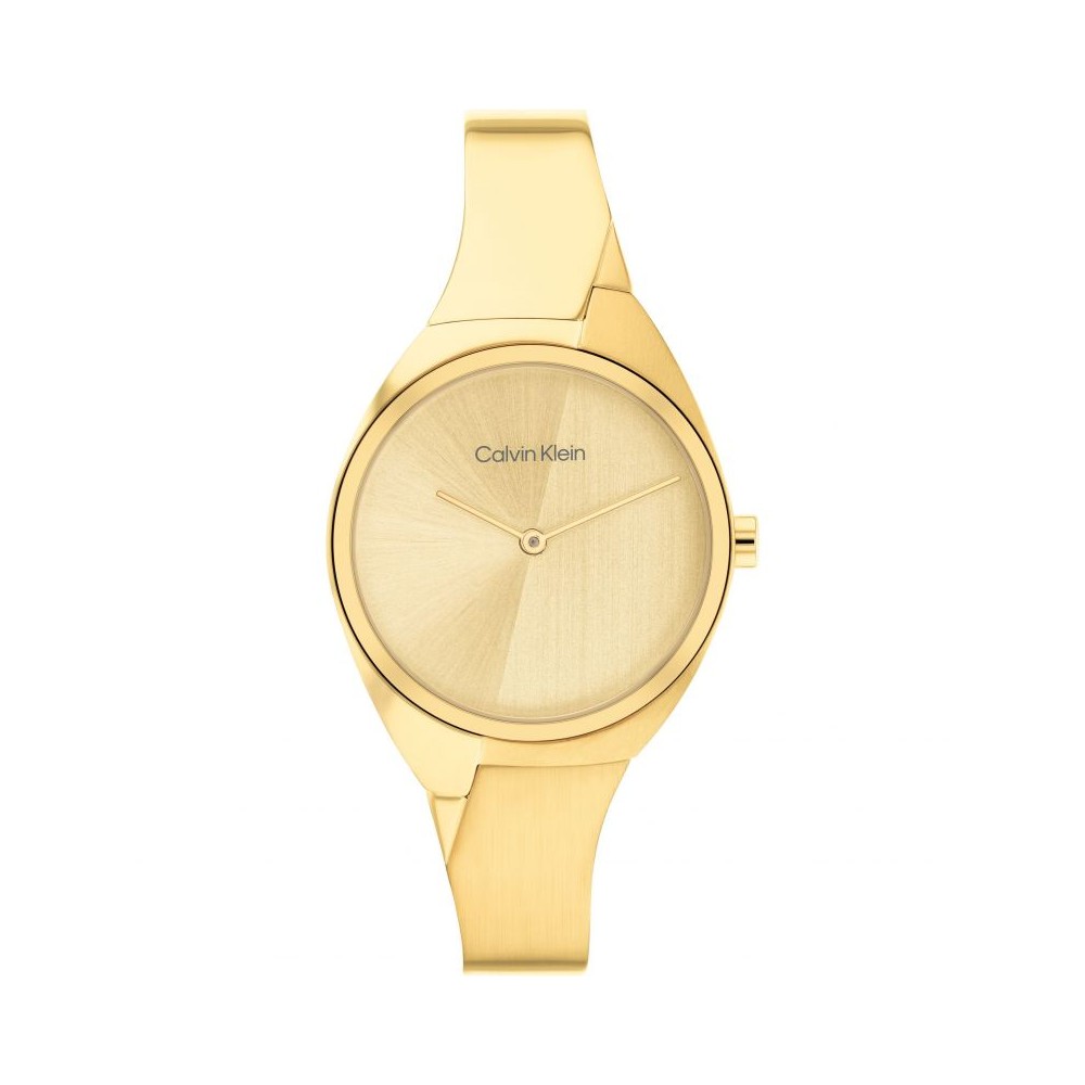 Montre Femme Calvin Klein 25200235