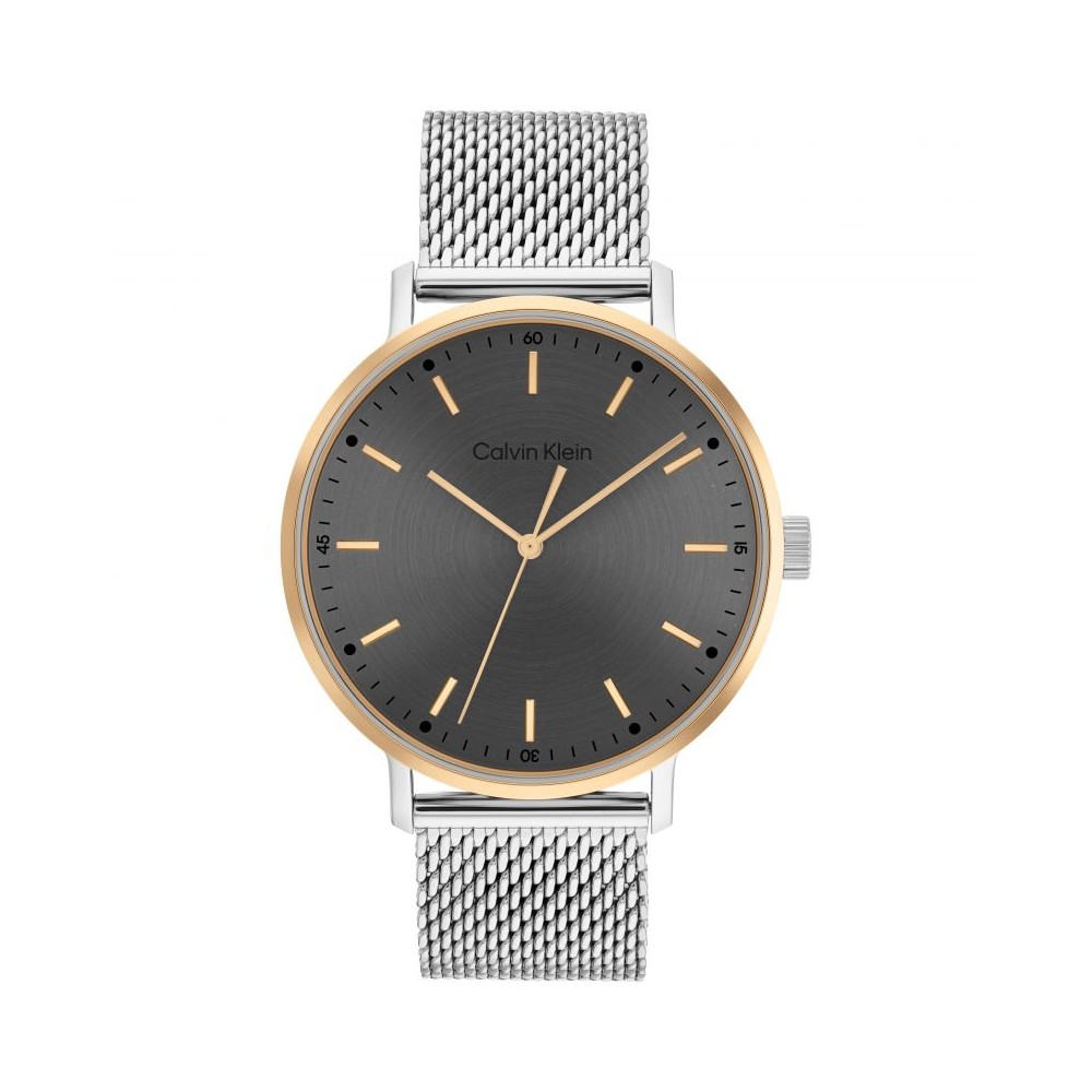 Montre Homme Calvin Klein 25200047