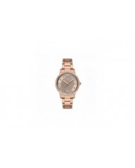 Montre pour femmes GUESS GW0353G2